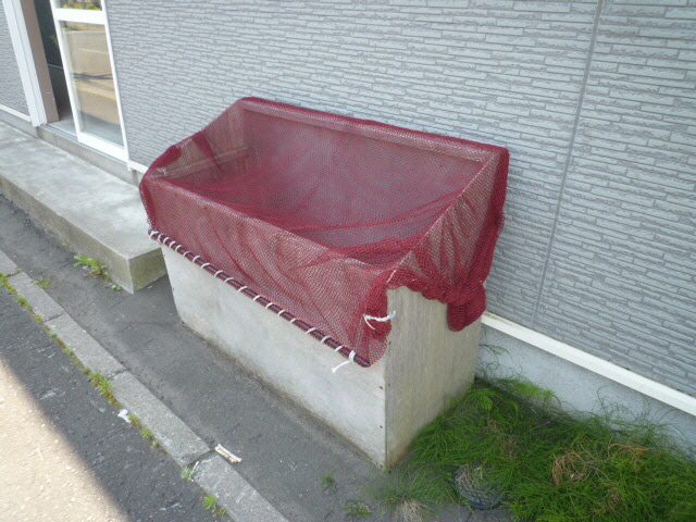 アミティ３の周辺