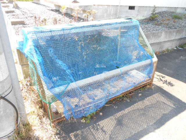 ニューシティ芦野の周辺