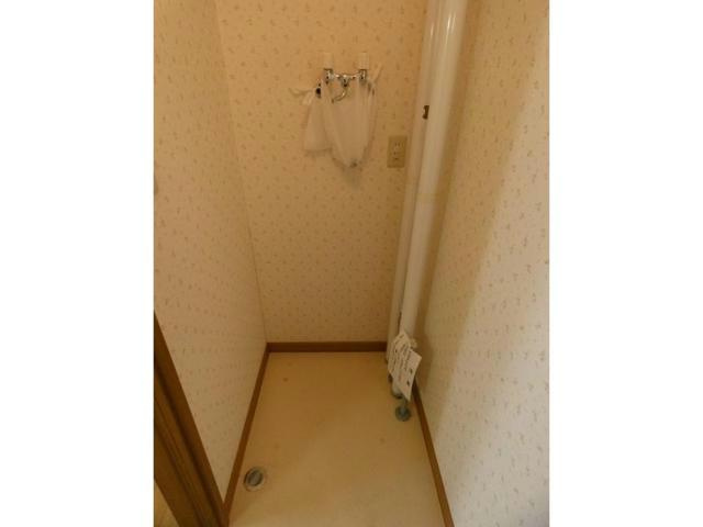 ハイツエミールⅡの洗面所