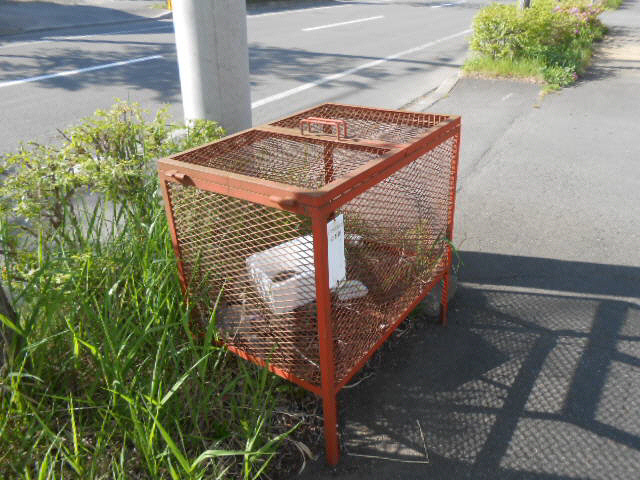 プロスパ壱番館の周辺