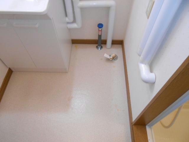 ケンジントンの洗面所