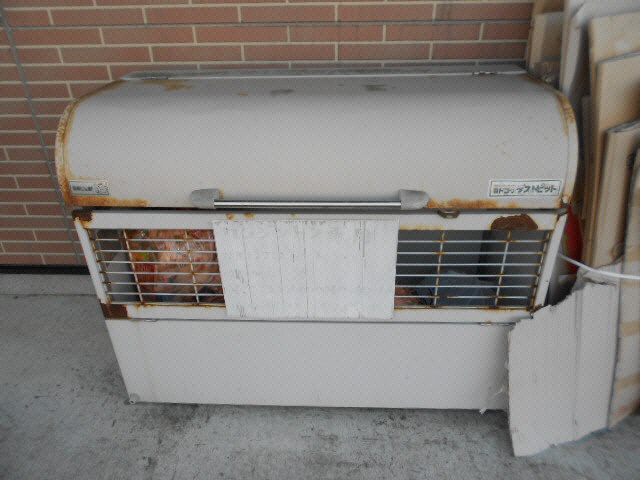 ケンジントンの周辺