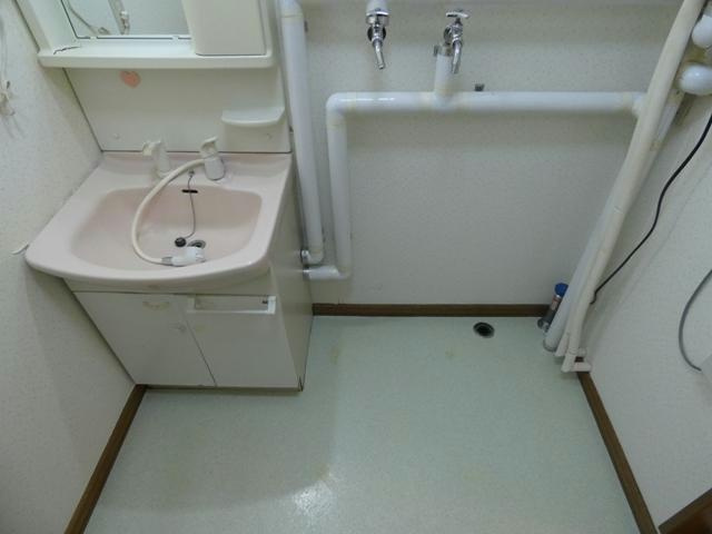 メイプルタウンルベルの洗面所