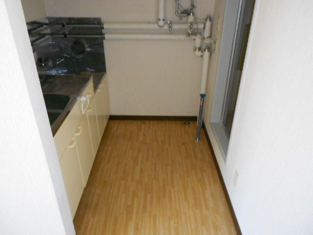 フィメールベガの洗面所