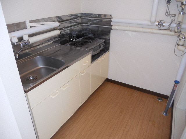 フィメールベガのキッチン