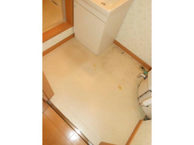 エステートｉｎアースの洗面所