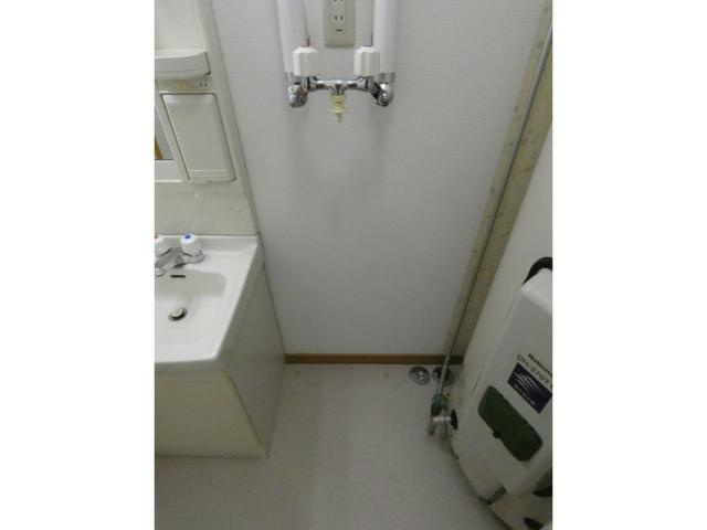 エステートｉｎアースの洗面所