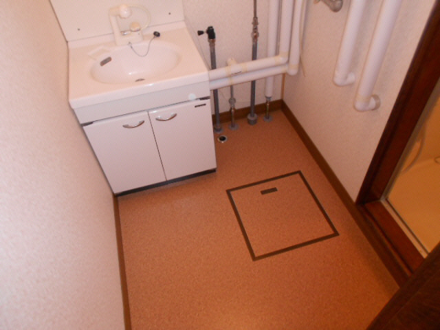 コーポ星の洗面所