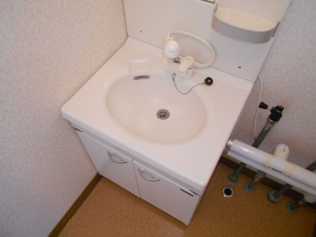 コーポ星の洗面所