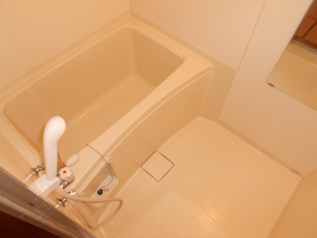 コーポ星の浴室