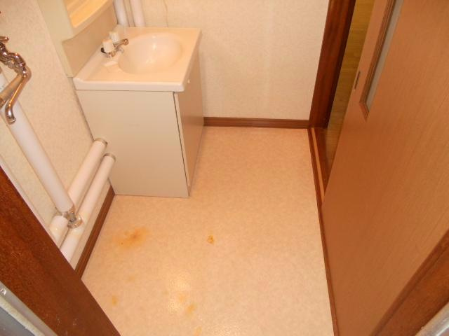 コーポサンシティの洗面所