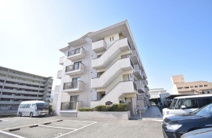 セラヴィ90の画像