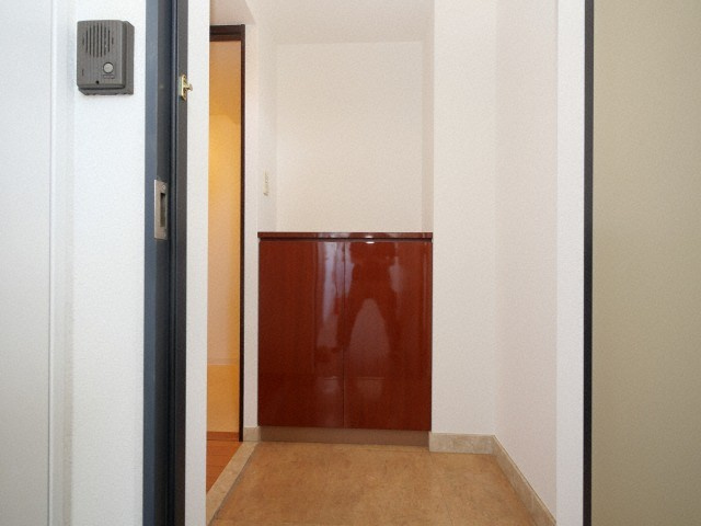 ディナスティ玉造の玄関