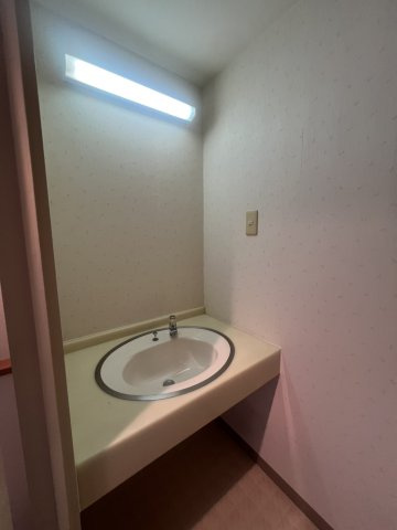 ライオンズマンション和歌山十番丁の洗面所