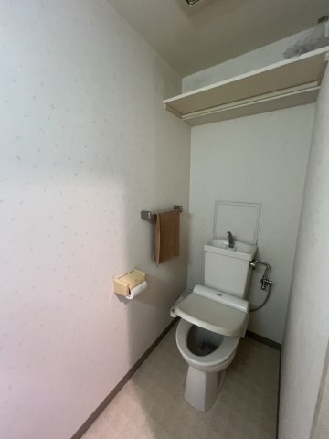 ライオンズマンション和歌山十番丁のトイレ