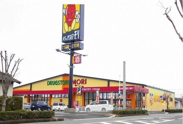 カルムメゾンⅠの周辺|ドラッグストアモリ中北店まで1800m