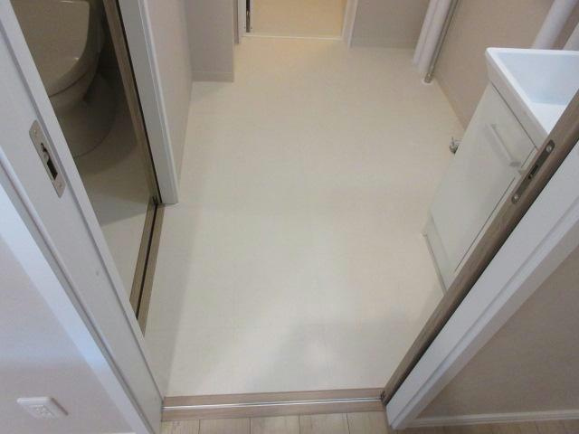 ユーフォリアⅠの洗面所