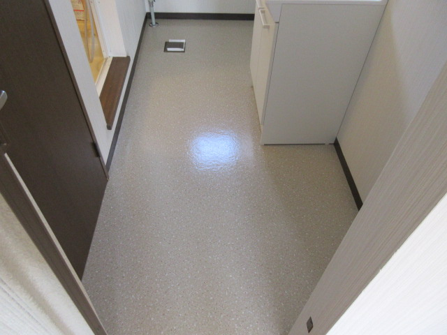 ラッキー・ストリッジⅠの洗面所