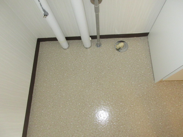 ラッキー・ストリッジⅠのその他