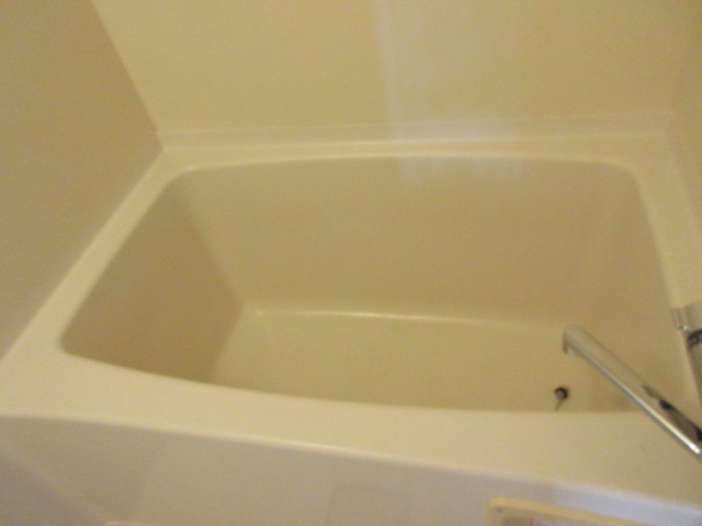 ラッキー・ストリッジⅠの浴室