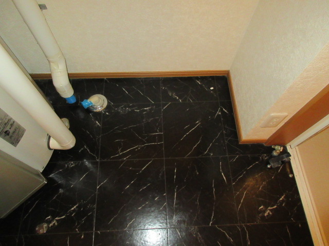 SHINKA26のその他