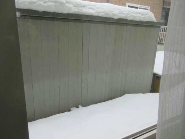 プロムナードの庭