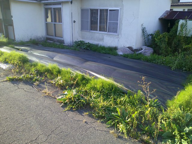 池田旭町貸家の庭