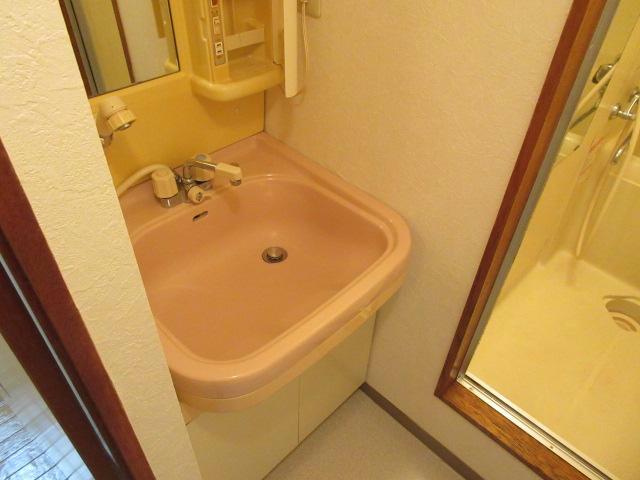 ローデハイムの洗面所