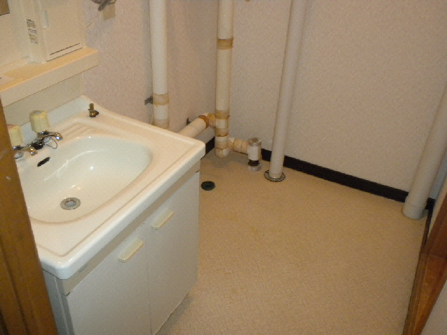 飛田ハイツ　A棟の洗面所