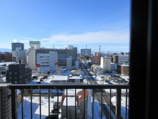 大通南８マンションの展望