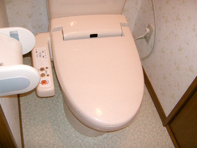 シティ根元のトイレ