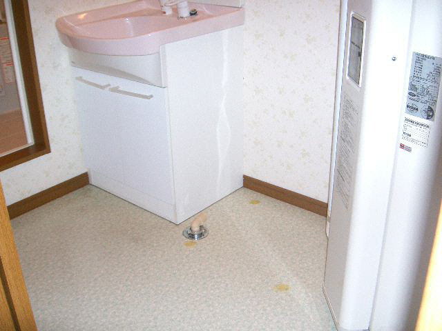 シティ根元の洗面所