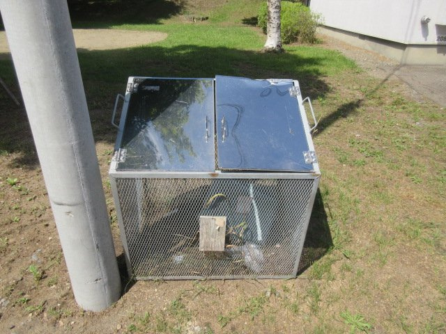 セリバテールのその他