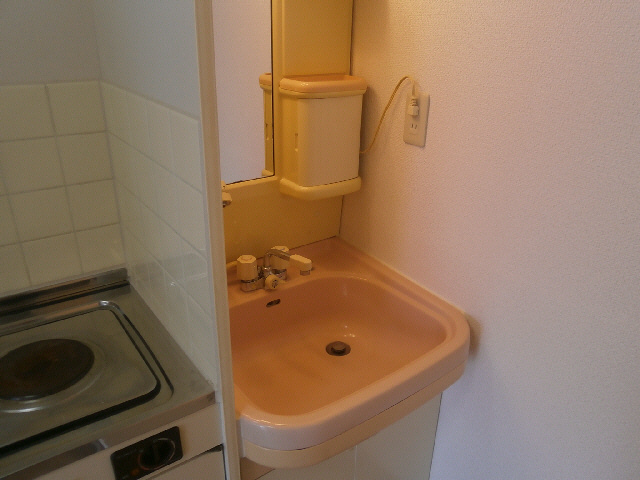 コーポメイフラワーの洗面所