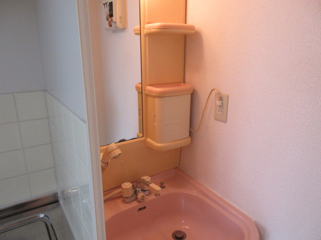 コーポメイフラワーの洗面所