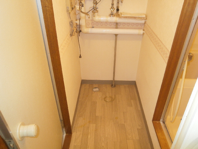 コーポメイフラワーの洗面所