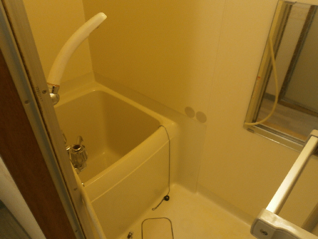 コーポメイフラワーの洗面所