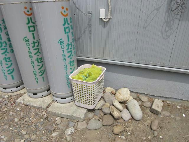 ライトハウスの周辺