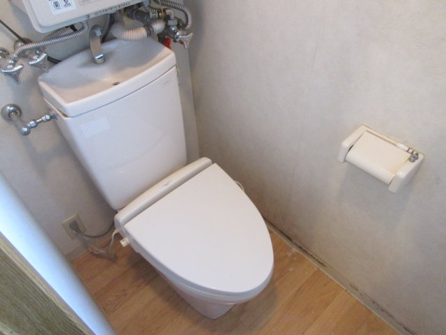 サルイオビヒロのトイレ