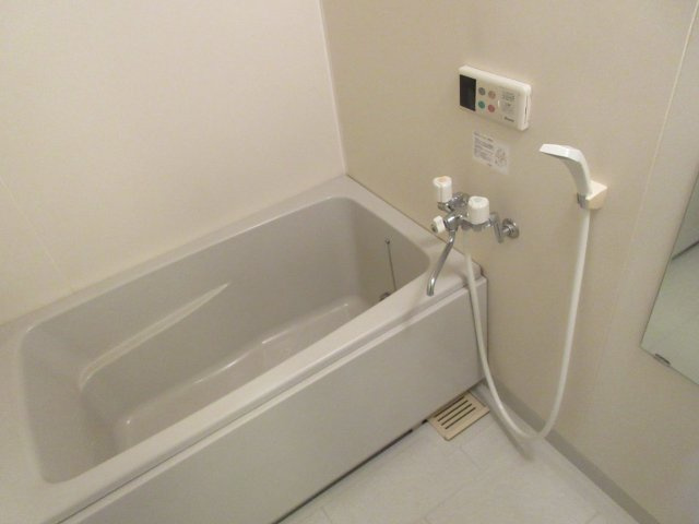 サルイオビヒロの浴室