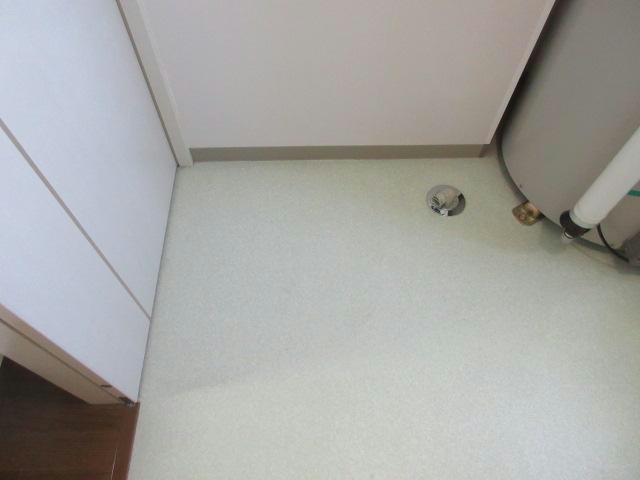 ラミアール弥生通の洗面所