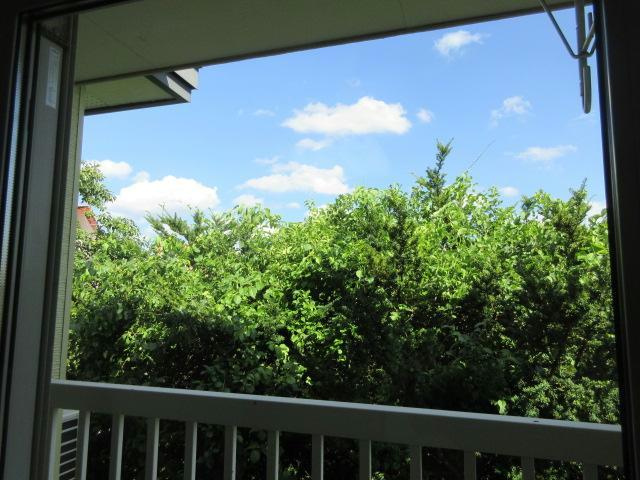 ラ・ポレール陸Bの展望