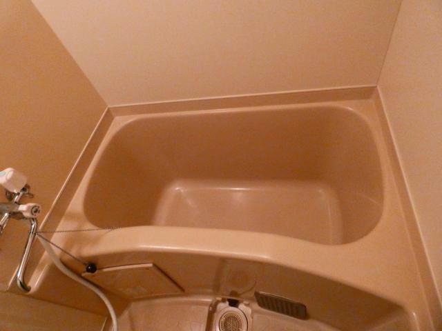 メゾンドール明星の浴室