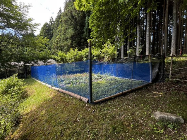 曽爾村塩井の庭