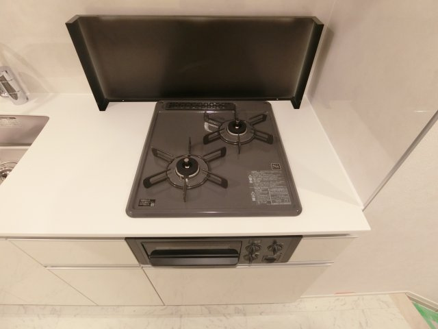 SYNEX YOKOHAMA-AOKICHOの玄関|同タイプ参考写真