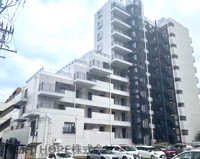 カサベラ岡本の画像