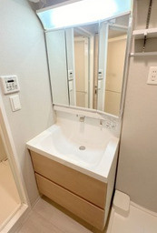 ネット フローラ立売堀の洗面所