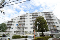 ペット飼育可　ハイネスさがみ野　３階3LDKリフォーム済み【仲介手数料無料】の画像