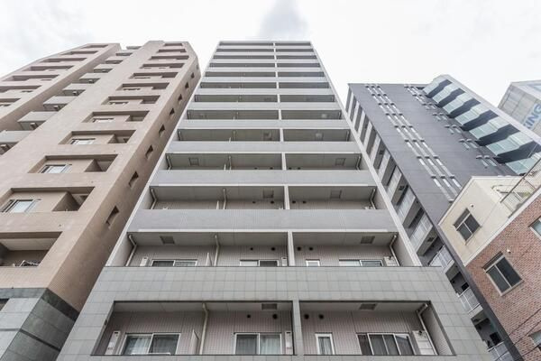 SYNEX　HON-KOMAGOME