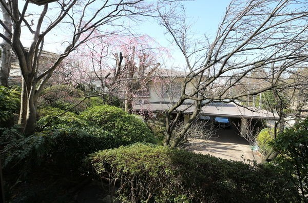 昭和区高峯町貸家の庭